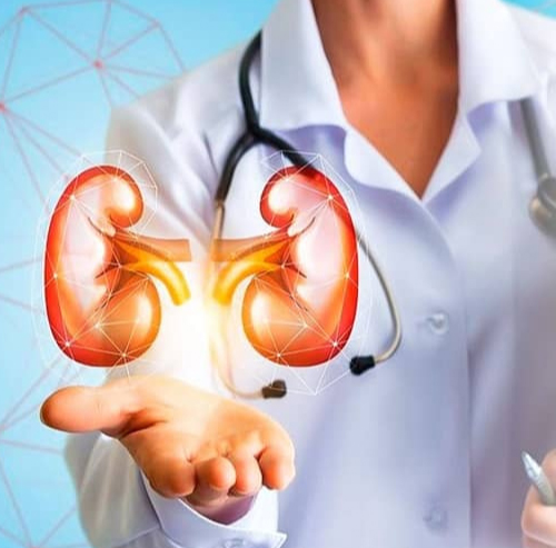 Best Doctor for Kidney Transplant – Dr. Shilpa Bansal